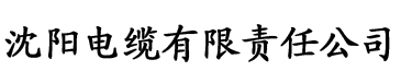 爽网电缆厂logo